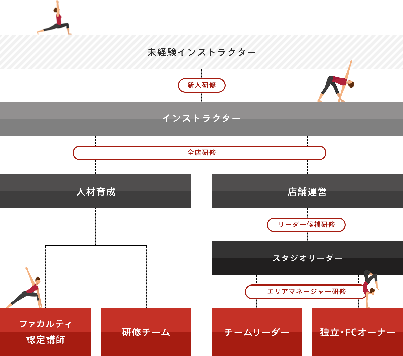 未経験インストラクター採用後キャリアパスフロー