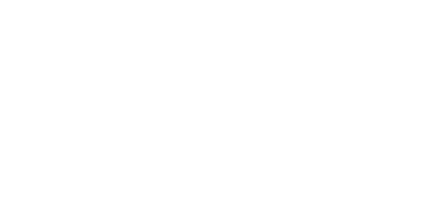 Project